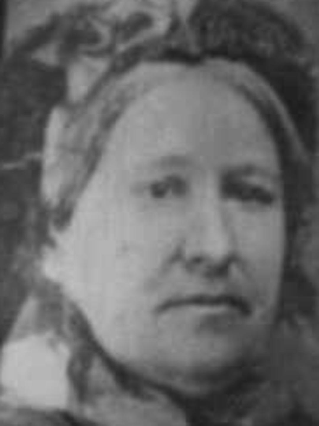 Sarah Celestia Coles (1811 - 1888) Profile